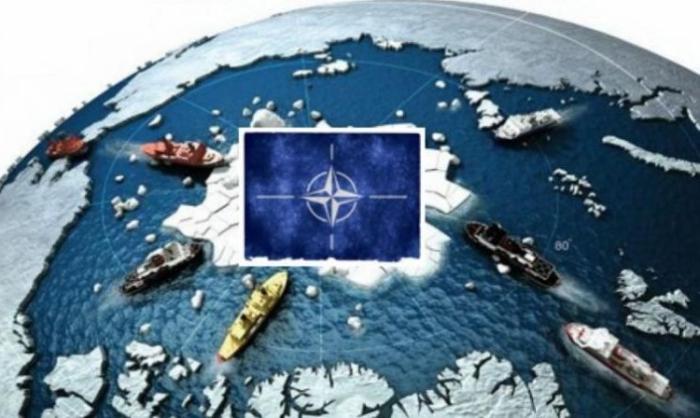 Корни поспешного впихивания Финляндии и Швеции в НАТО – не на Украине, а в Арктике
