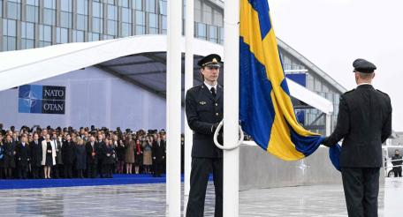 Зачем флаг Швеции вздёрнули на бульваре Леопольда?