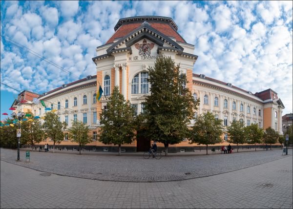 Закарпатский венгерский институт им. Ференца Ракоци ІІ. Украинского в нём только флаг.