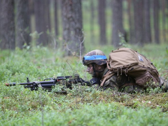 «Железный волк» в лесах Литвы. Фото: czdefence.com