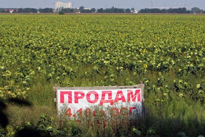 Поля Украины. Фотография: «Комсомольская правда в Украине»