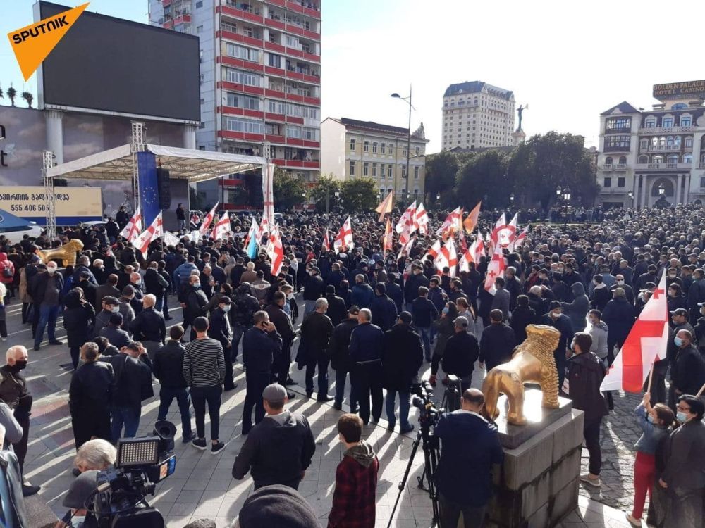 Грузия 2020 митинг. Многотысячные манифестации на площади свободы в Тбилиси. Митинг в Тбилиси. Оппозиция Грузии.