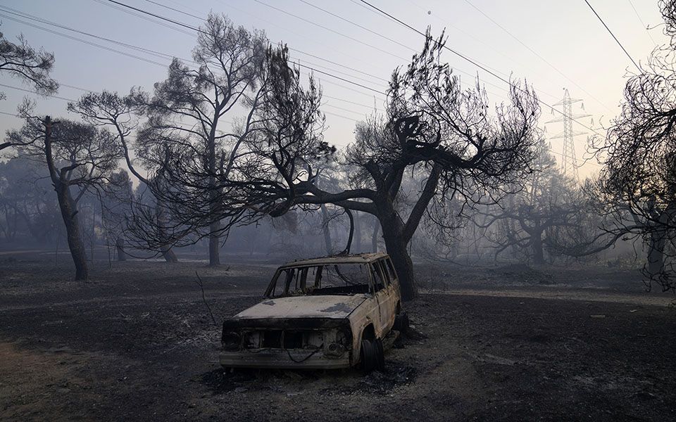 Последствия лесных пожаров катастрофичны