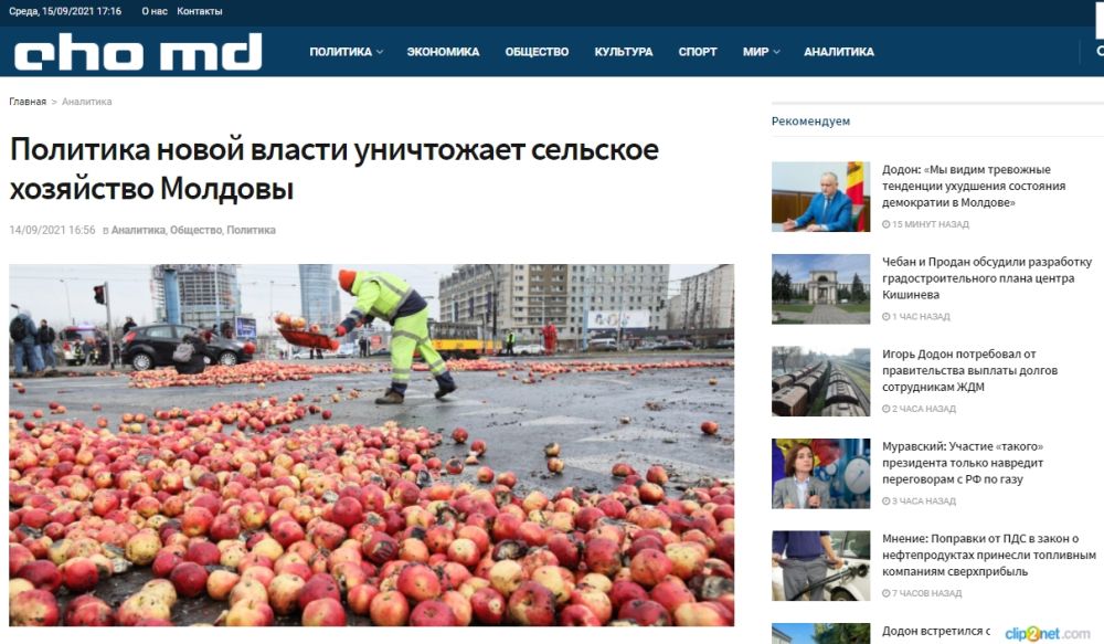 Молдавские фермеры вынуждены выбрасывать тонны урожая