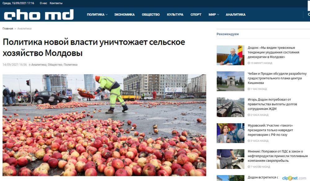 Молдавские фермеры вынуждены выбрасывать тонны урожая