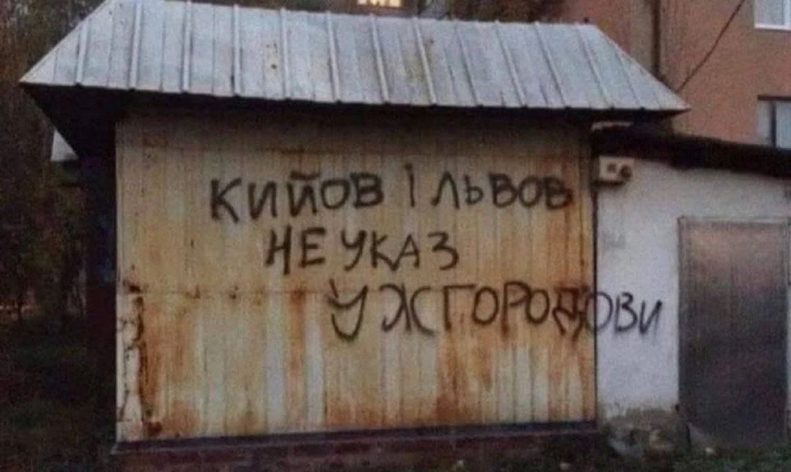 Сепаратистские лозунги на Закарпатье