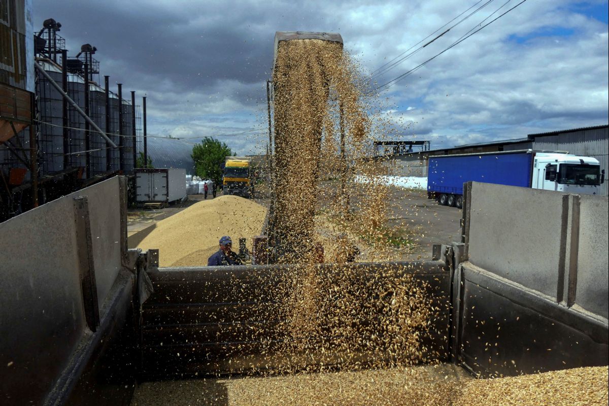 Перевалка зерна в порту Одессы