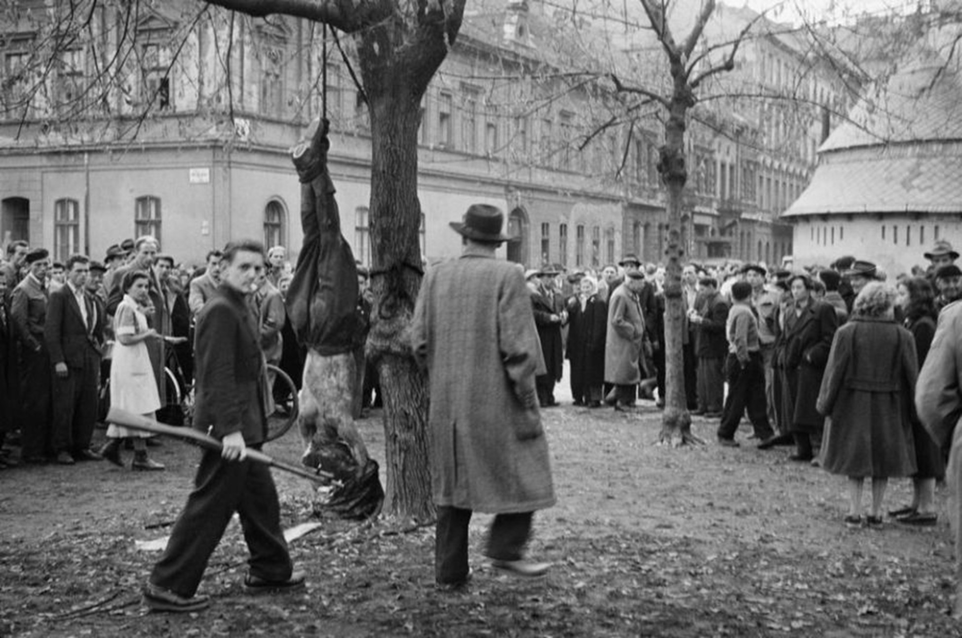 «Демократическая революция» венгерского образца, 1956 год