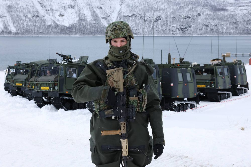 Нато nordic response. Учения НАТО 2024. Учения Nordic response. Военные учения, Nordic response. Cold response 2020 учения НАТО.