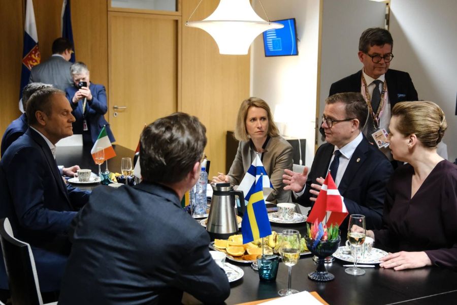 «Политические амазонки» Евросоюза