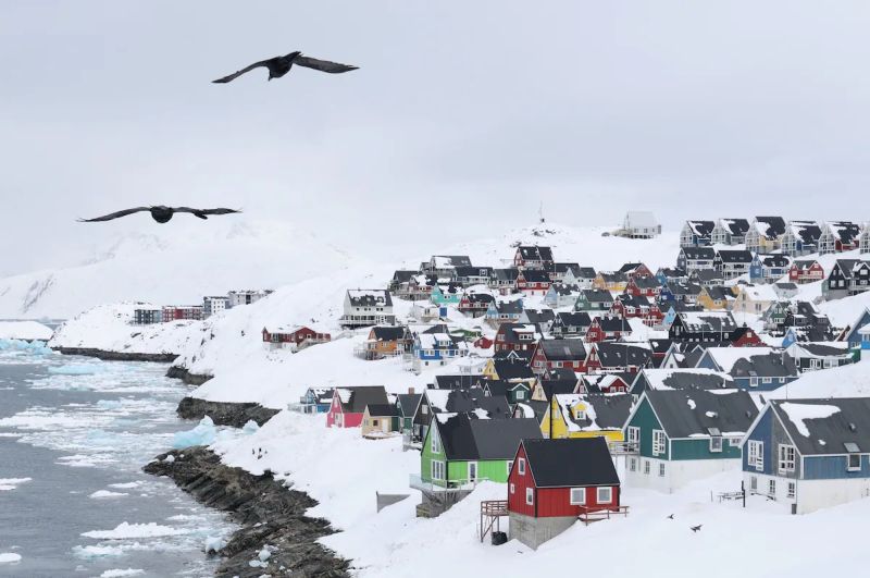 Чайки над городом Нуук в Гренландии