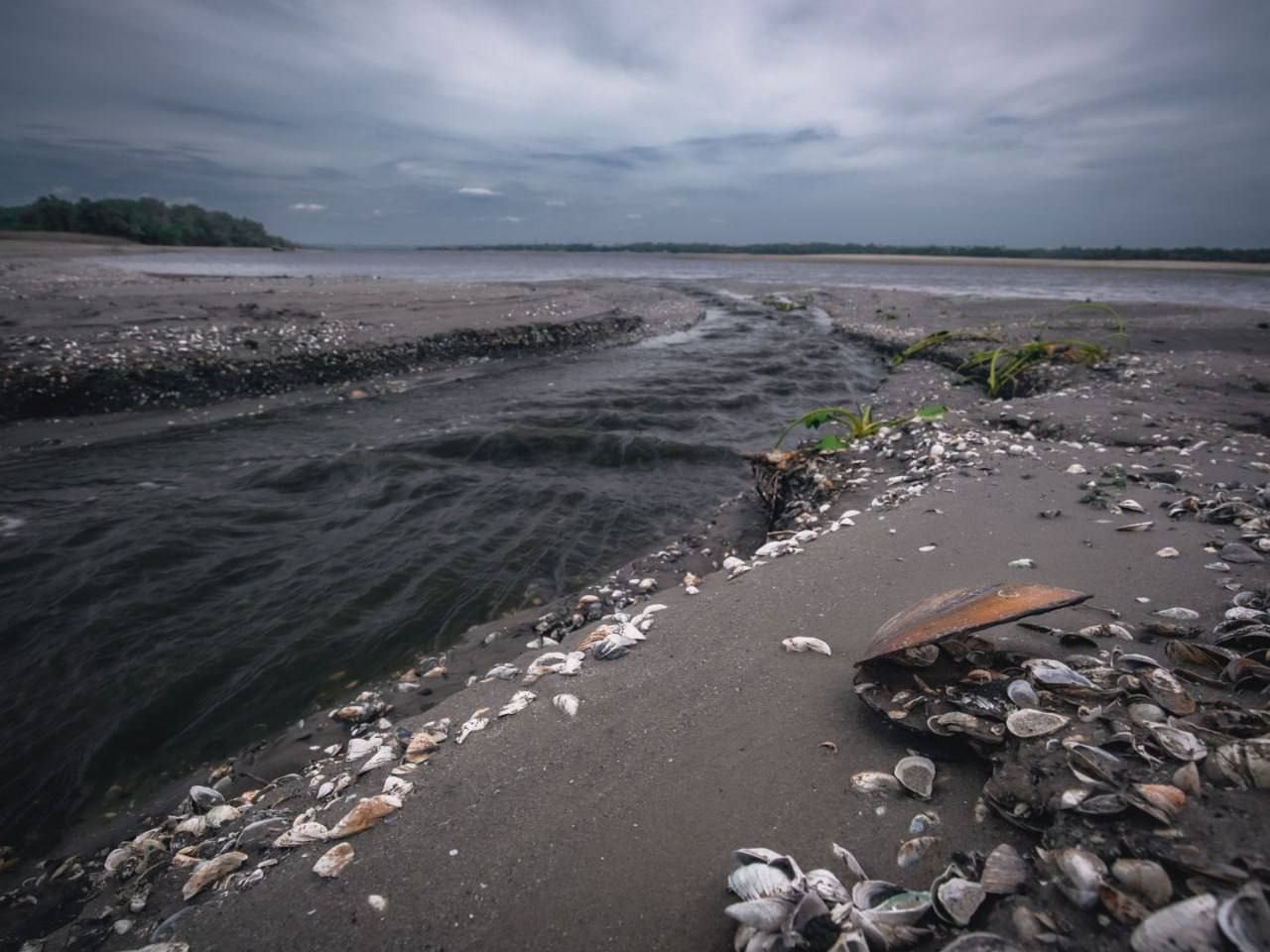 Обмелевшее Каховское море