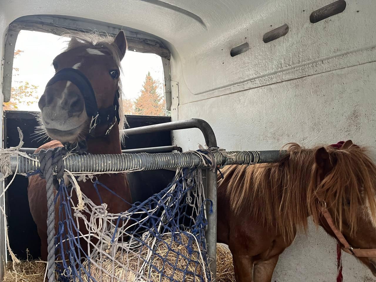 Специальная военная операция ВС РФ и события на Украине 20 октября, вечер