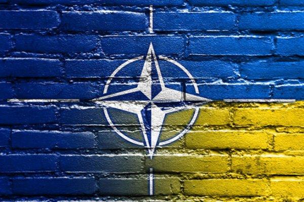 Венгрия заблокировала встречу министров обороны Украина – НАТО