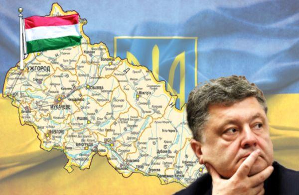 Венгрия в Украине.