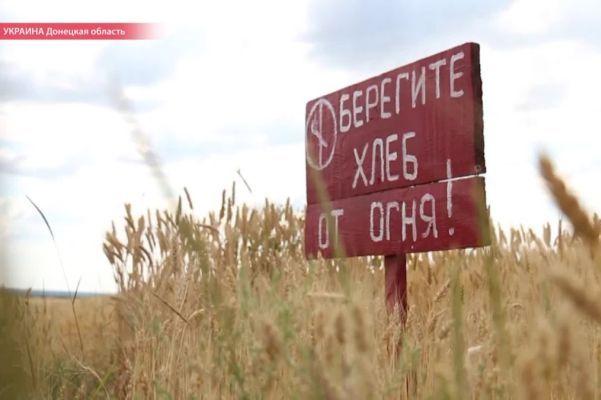 Хлебное перемирие – двадцатое по счёту