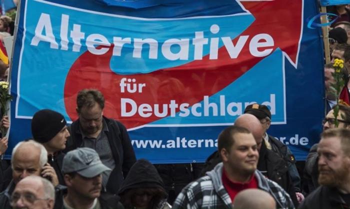 «Альтернатива для Германии» шагает от успеха к успеху