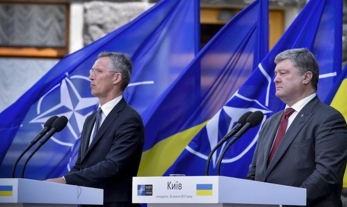 Украина и НАТО