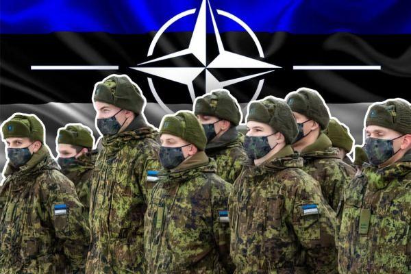 Глава Минобороны Эстонии: НАТО нас спасёт