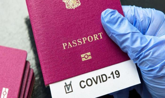 Ковидные паспорта Евросоюза