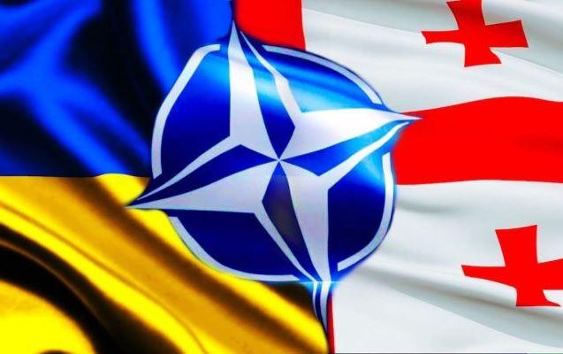 В НАТО пообещали усилить поддержку Украины и Грузии