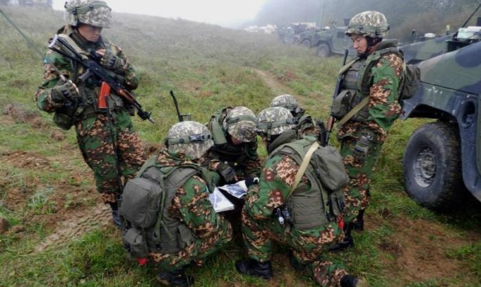«Вместе тренироваться, чтобы вместе воевать», или О военном сотрудничестве Казахстана и США
