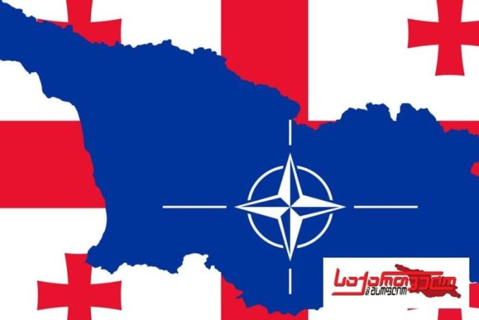 «Грузия и мир»: Грузии не видать НАТО ещё полвека или больше