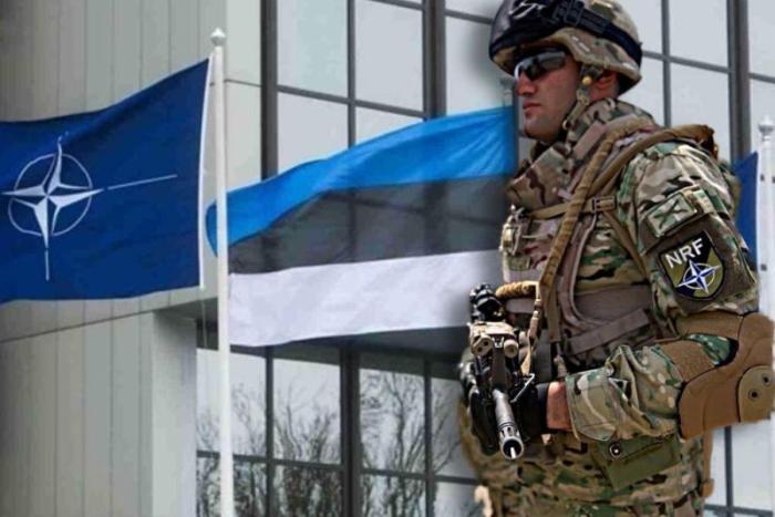 Таллинн просит усилить восточный фланг НАТО