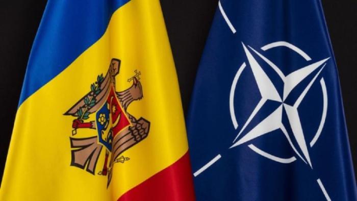 Молдова обещает все политические вопросы согласовывать с НАТО