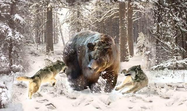 Попытка убедить матерого волка сделаться травоядным заведомо бесперспективна, и Москва на это не рассчитывала