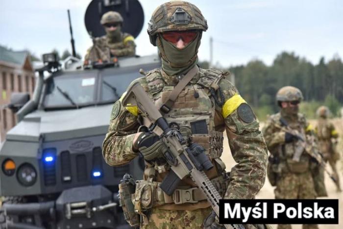 Myśl Polska: Польша не желает воевать за Киев