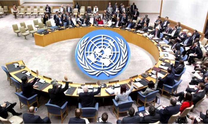 В Японии хотят изгнать Россию из Совета Безопасности ООН?