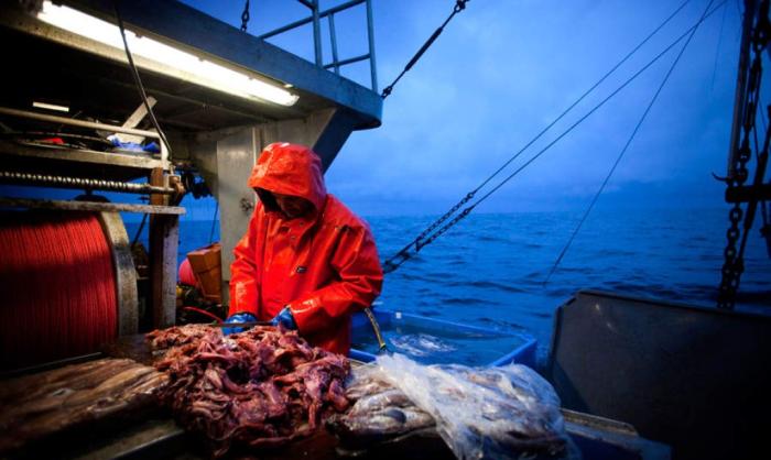 Незаконному японскому рыболовному промыслу на Курилах необходимо положить конец