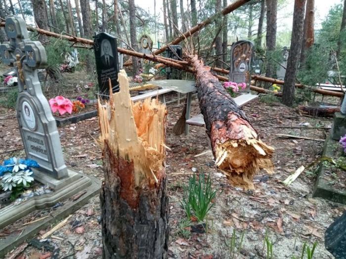 Разбитое ударами ВСУ кладбище в районе Изюма