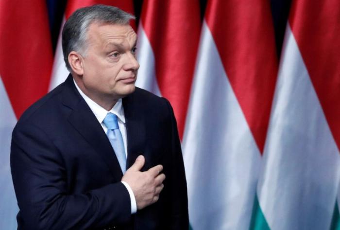 Украину и её «западных друзей» коробит думающая о венграх Венгрия 