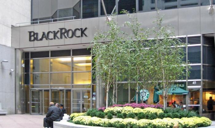 BlackRock планирует скупить Украину