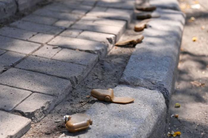 HRW: ВСУ разбросали тысячи запрещённых мин «лепесток»