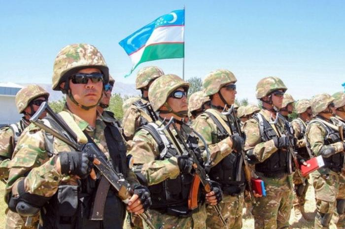 Узбекистан может наладить более тесную координацию с ОДКБ