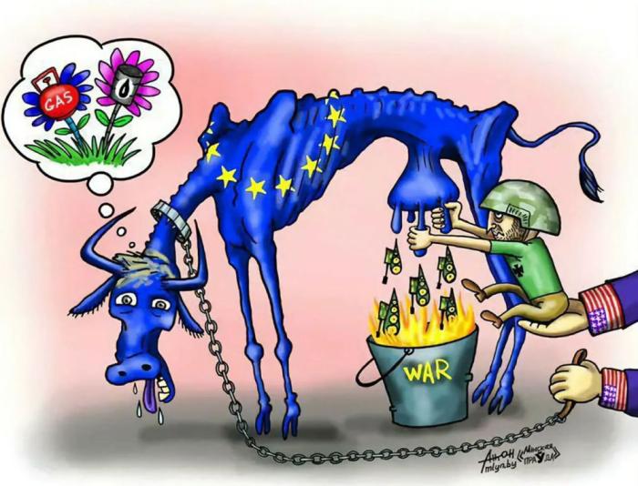 UnHerd: Не похоронит ли Украина ЕС?