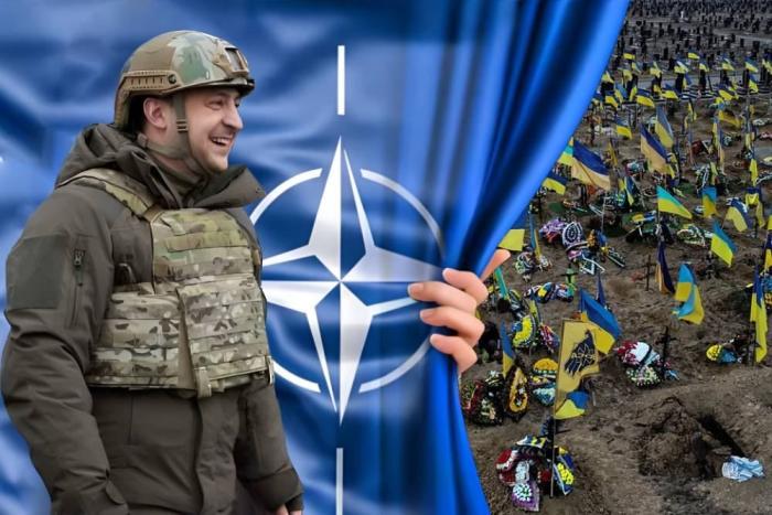 «Политика»: Запад обещает принять остатки Украины в НАТО и толкает Зеленского к переговорам с Россией
