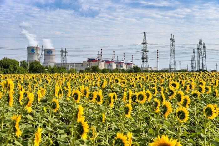 США закрепляются в атомной энергетике Болгарии