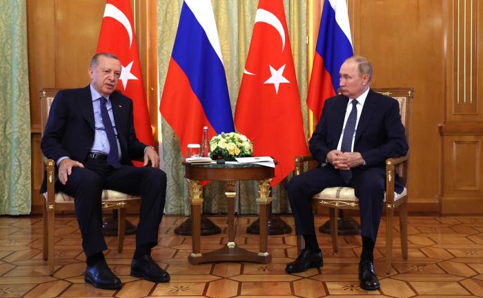 Встреча Владимира Путина и Реджепа Эрдогана может пройти в мае