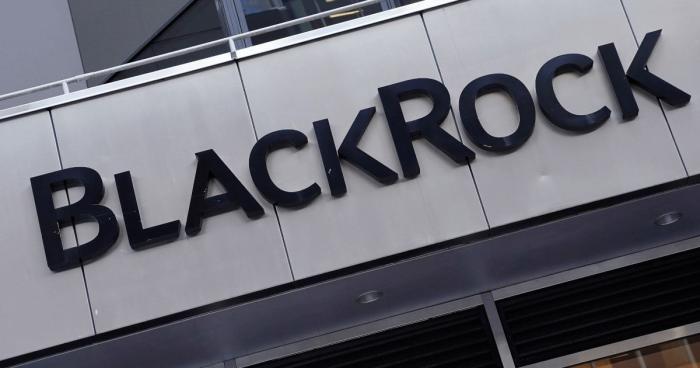 BlackRock, выйди вон!