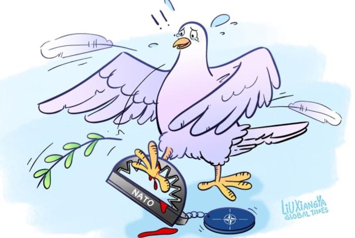 Global Times: Украинцы умирают в прокси-войне НАТО с Россией