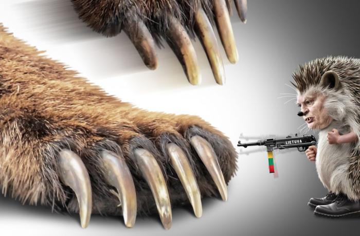 Вильнюс готов пугать русского медведя голой попой литовского ежа