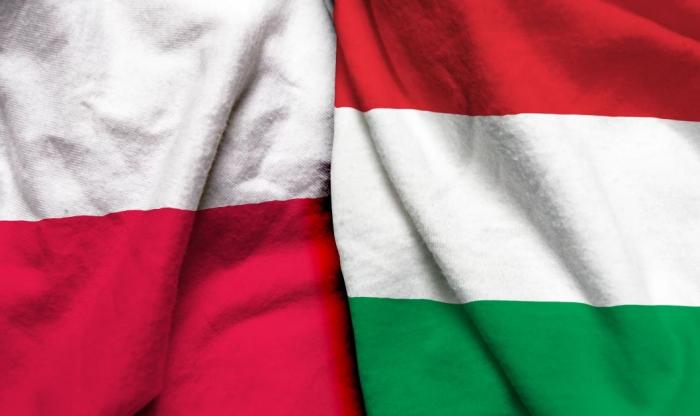 Украина похоронила польско-венгерскую дружбу