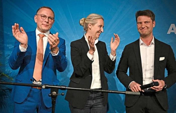 Gils power: германская оппозиция планирует победить глобалистов их же оружием