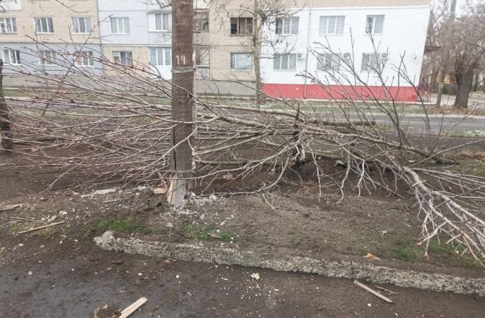 Специальная военная операция ВС РФ и события на Украине 2 декабря, вечер