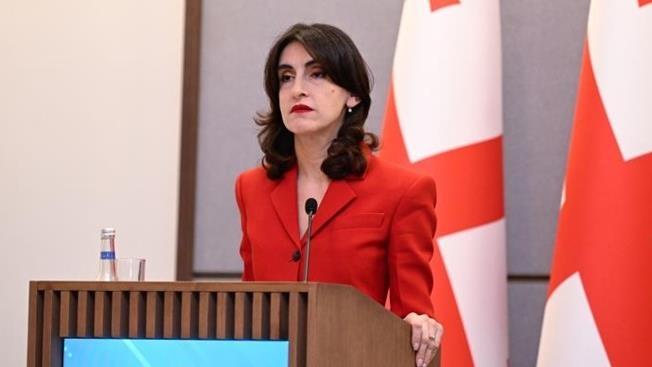 Главы турецкой и грузинской дипломатии «сверили часы»