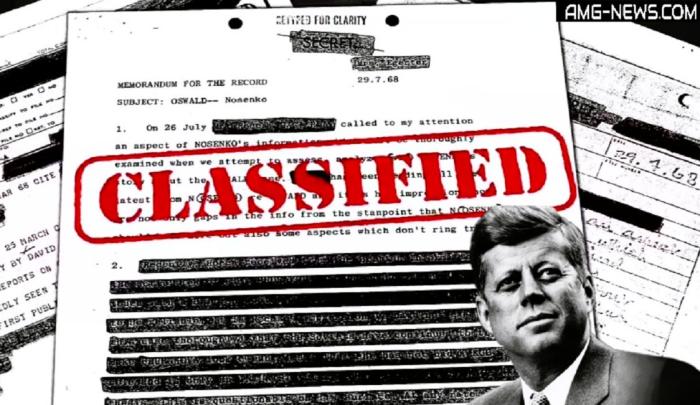 ЦРУ на страже интересов глобализма: германское эхо дела JFK?